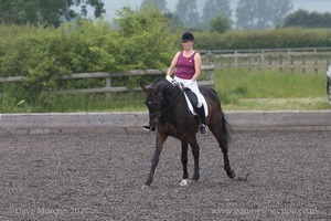 ISIS Dressage Challenge 2008